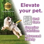 Elevate_Pet