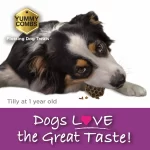 Great_Taste