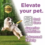 Elevate_Pet