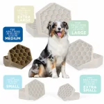 MD_Dog_Size_SQR