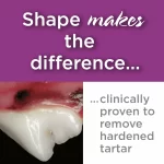 Periodontal_Score