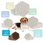 SM_Dog_Size_SQR