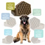 XL_Dog_Size_SQR