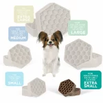 XS_Dog_Size_SQR